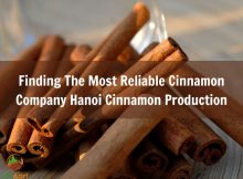 finding-the-most-reliable-cinnamon-company-hanoi-cinnamon-production