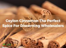 ceylon-cinnamon-the-perfect-spice-for-discerning-wholesalers