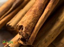 vietnamese-cinnamon-vs-ceylon-cinnamon-unveiling-the-flavorful-battle-1